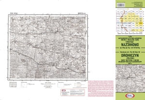DROHICZYN (Poleski) pas 40 słup 40 1:100 000