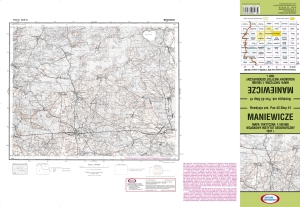 MANIEWICZE pas 43 słup 41 1:100 000